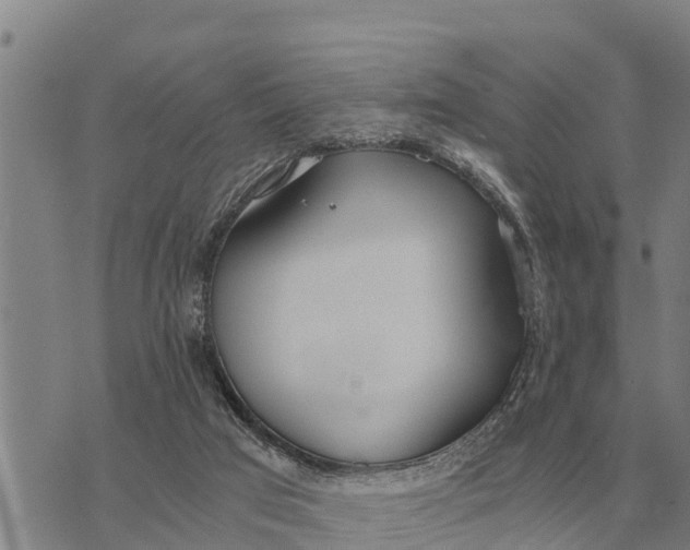 X0000073900017200609011730