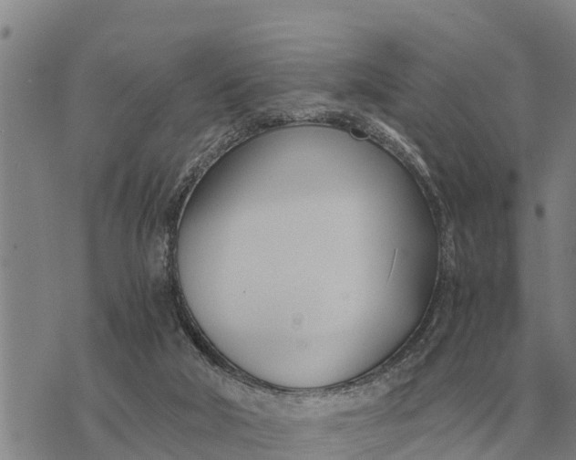 X0000073900018200609011730