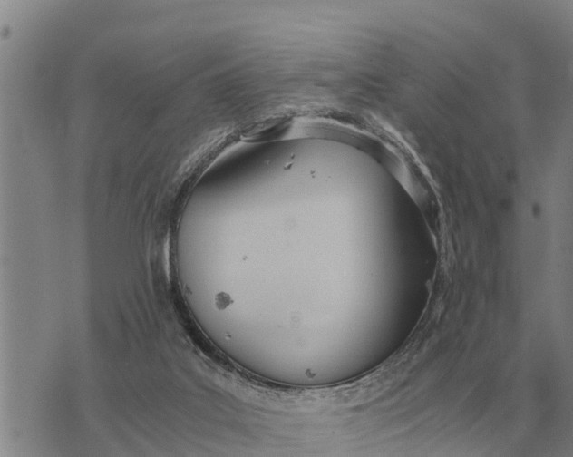 X0000073900019200609011730