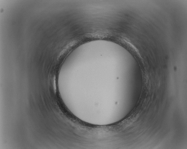 X0000073900020200609011730