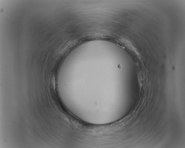 X0000073900021200609011730