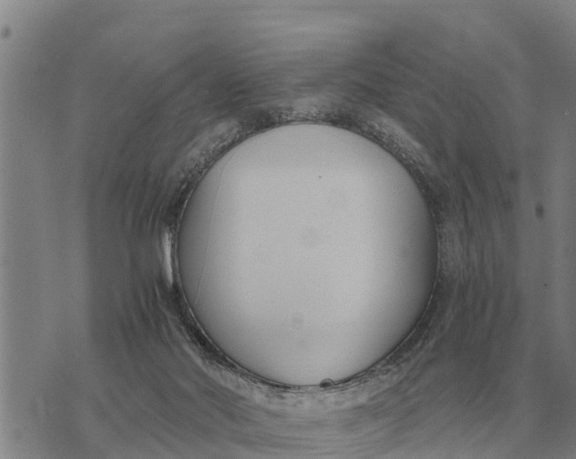 X0000073900022200609011730