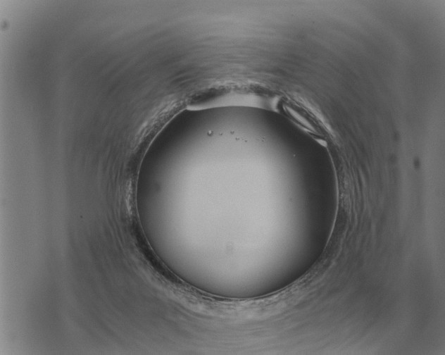 X0000073900023200609011730