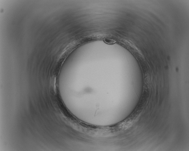 X0000073900024200609011730