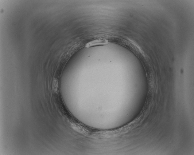 X0000073900025200609011729