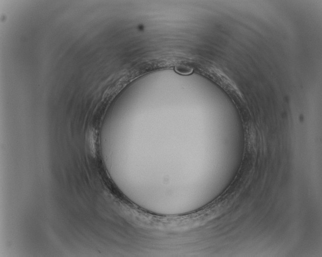 X0000073900026200609011729