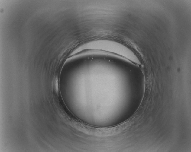 X0000073900027200609011729