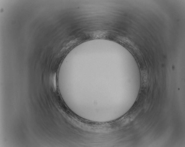 X0000073900028200609011729