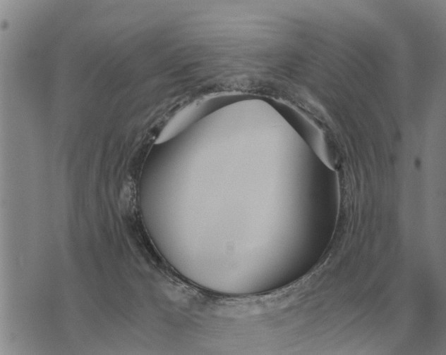 X0000073900029200609011729