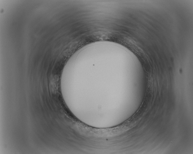 X0000073900030200609011729