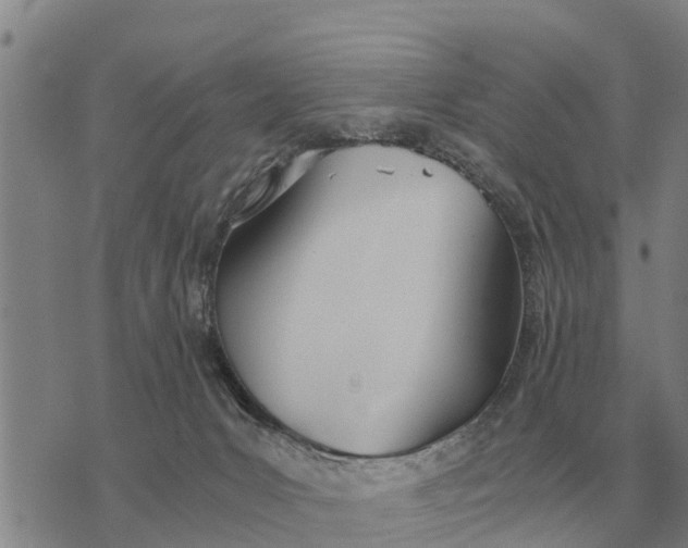 X0000073900031200609011729