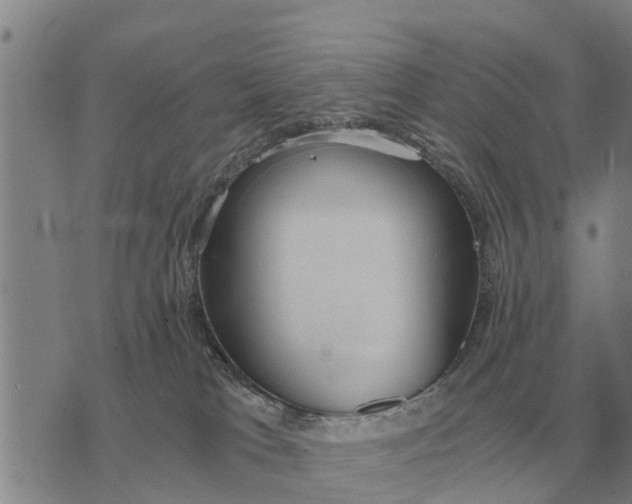 X0000073900037200609011729