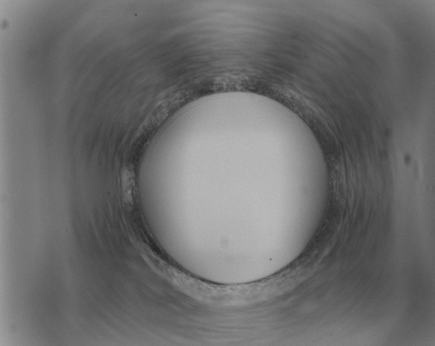 X0000073900038200609011729