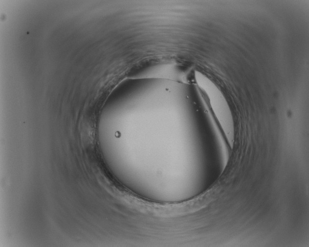 X0000073900039200609011729