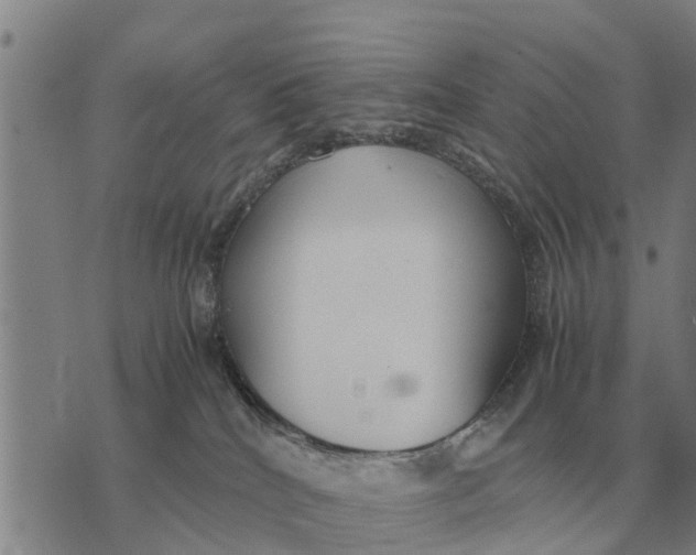 X0000073900040200609011729