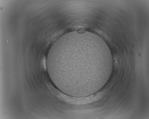 X0000073900042200609011729