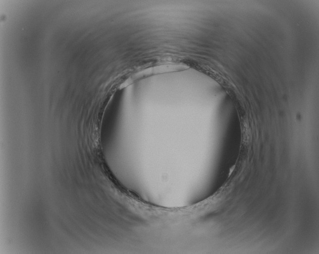 X0000073900043200609011729