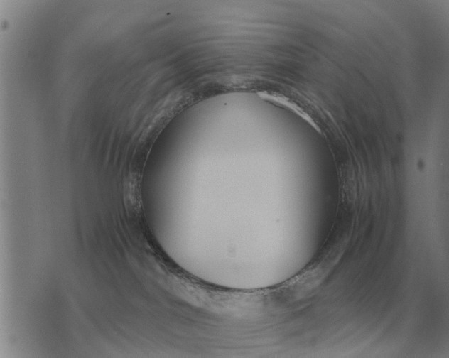 X0000073900044200609011729