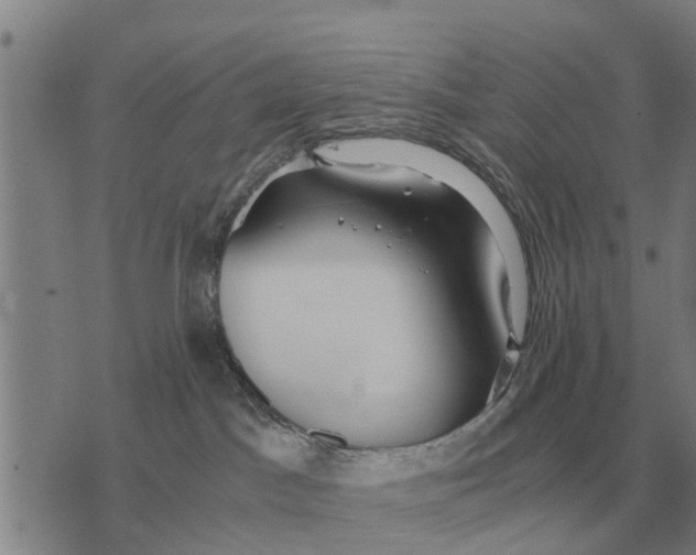 X0000073900045200609011729