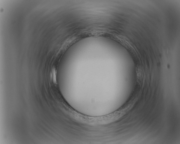 X0000073900046200609011729