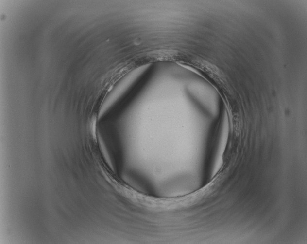 X0000073900047200609011729