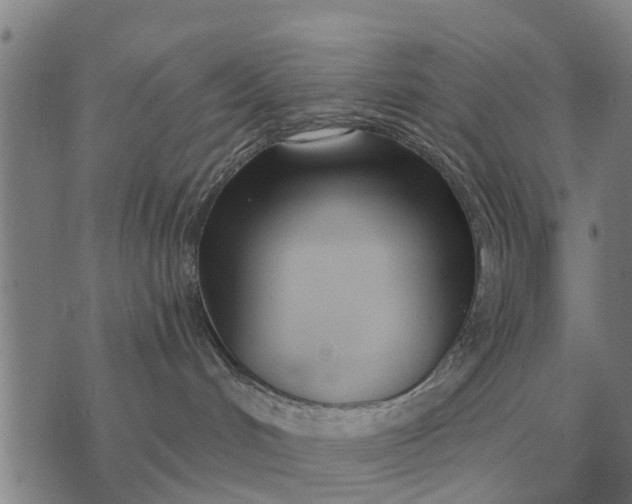 X0000073900048200609011729