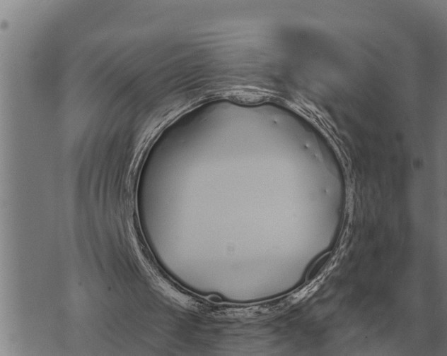 X0000073900049200609011728