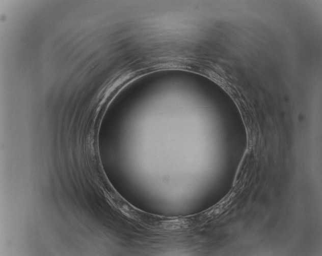 X0000073900050200609011728