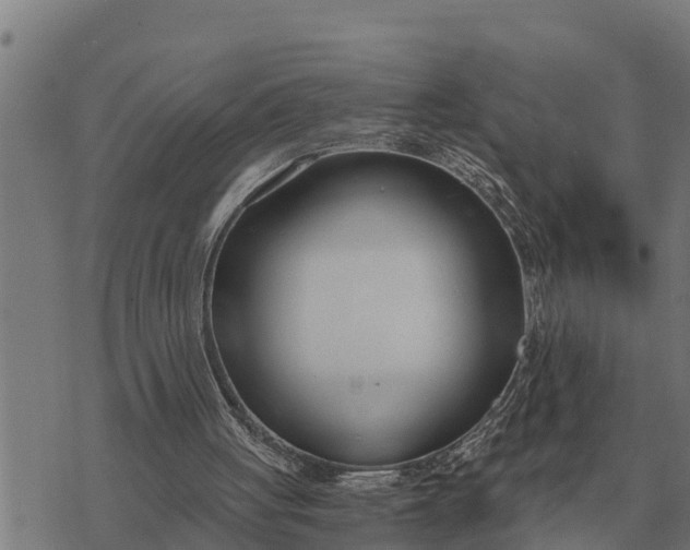 X0000073900051200609011728