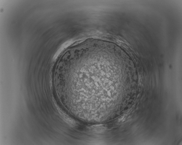 X0000073900054200609011728