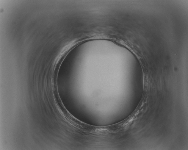 X0000073900055200609011728