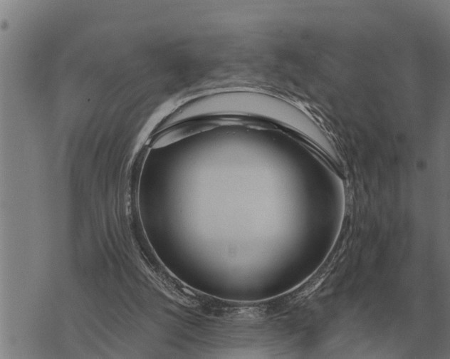 X0000073900056200609011728