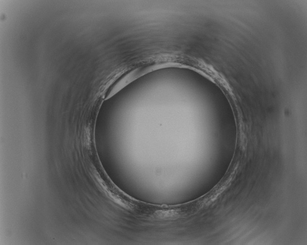 X0000073900057200609011728