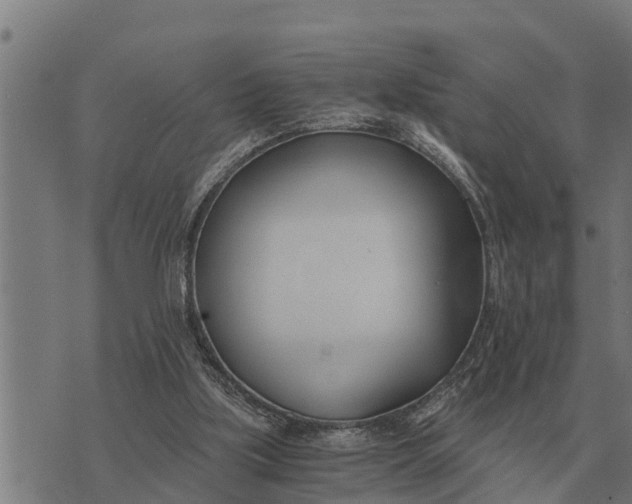 X0000073900059200609011729