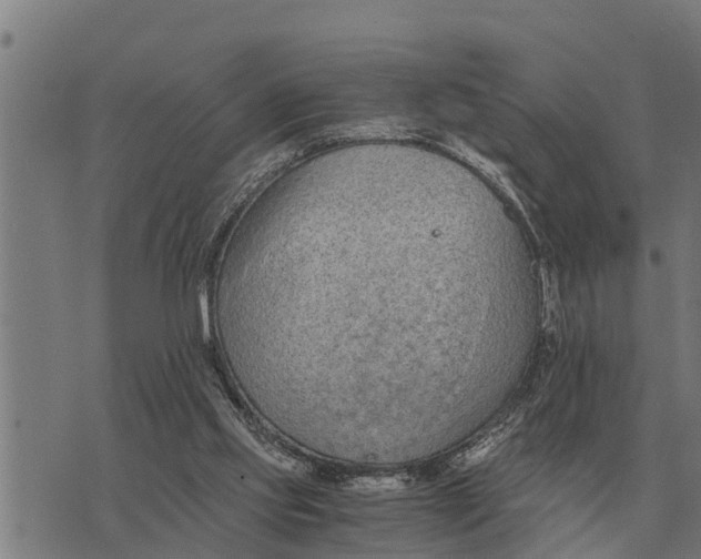 X0000073900061200609011729