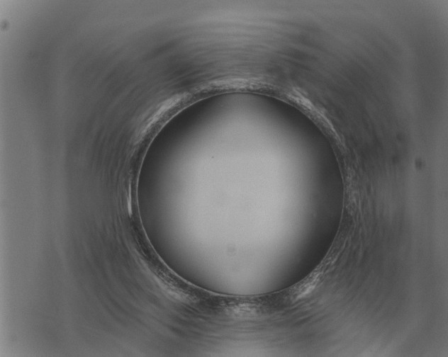 X0000073900062200609011729