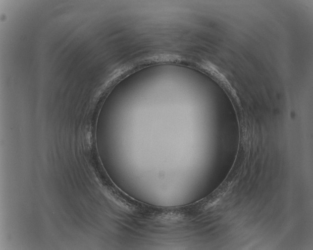 X0000073900063200609011729