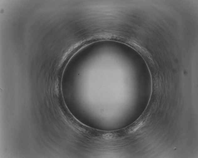 X0000073900064200609011729