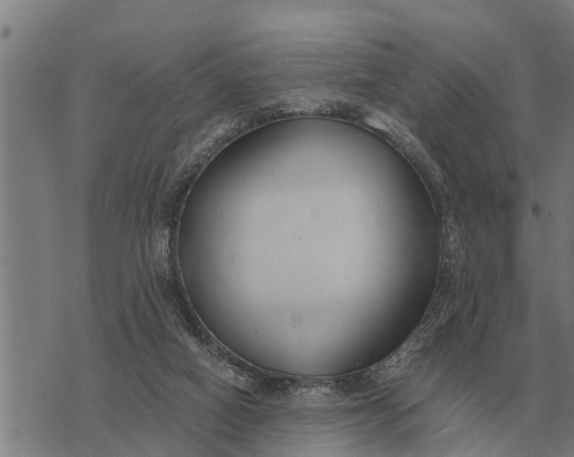 X0000073900066200609011729