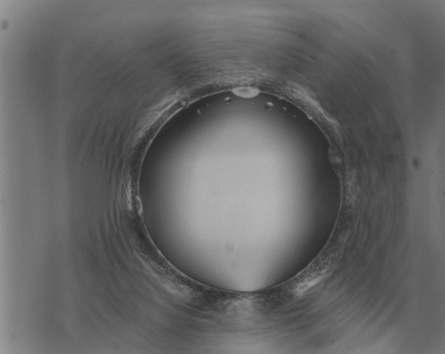 X0000073900068200609011729