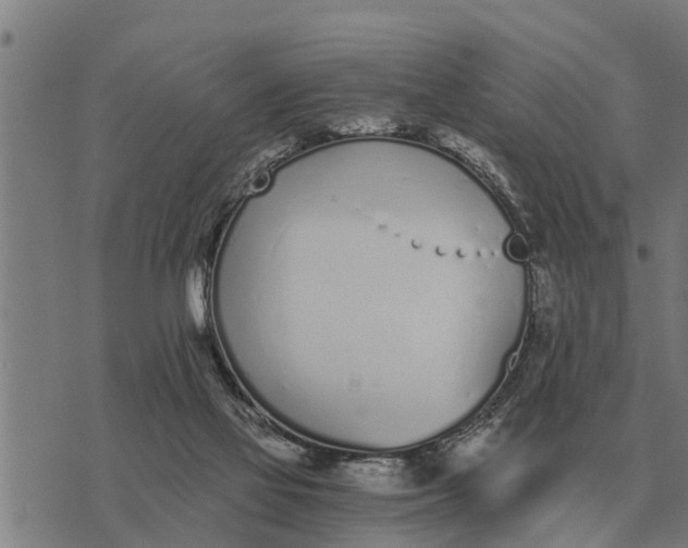 X0000073900069200609011729