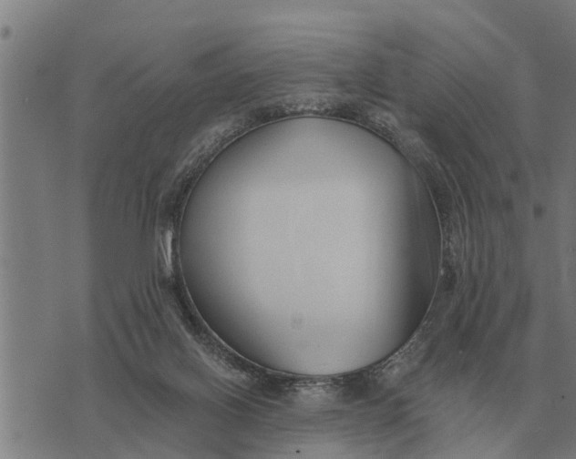 X0000073900070200609011729