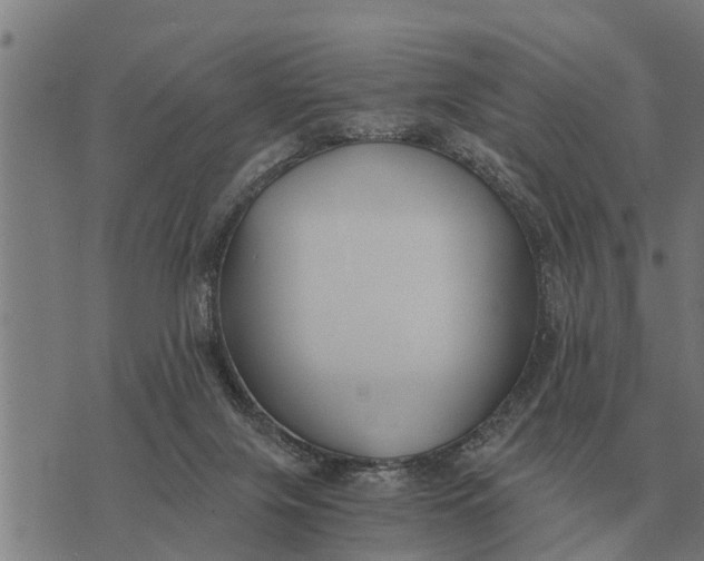 X0000073900071200609011729