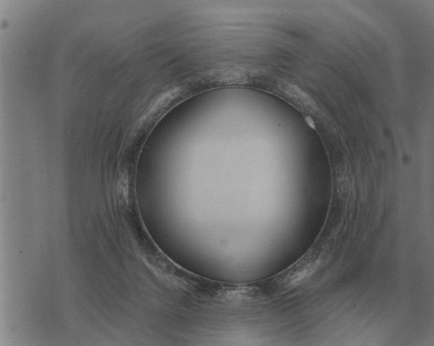 X0000073900072200609011729