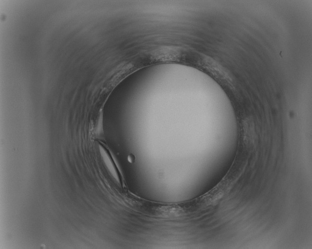 X0000073900073200609011729