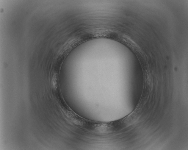 X0000073900074200609011729