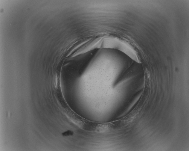 X0000073900076200609011729