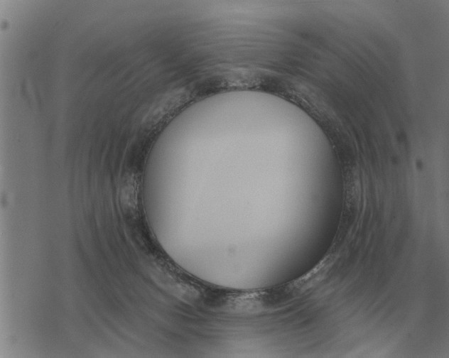 X0000073900078200609011729