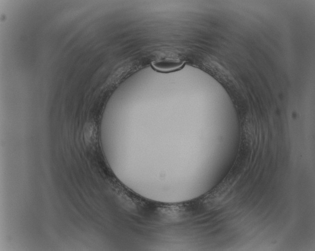 X0000073900079200609011729