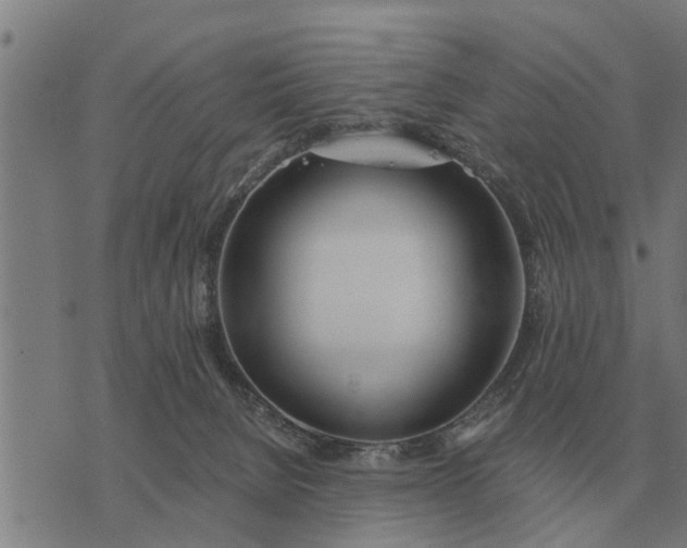 X0000073900080200609011729